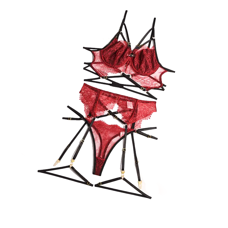 Nuovo pizzo Sexy Lingerie tras - Sheer Bra Lace recensione e prezzo